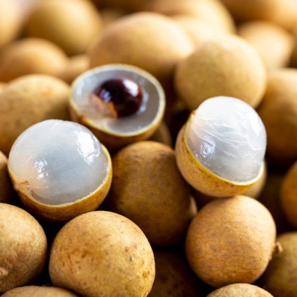 Fresh Thai Longan Export | Premium Tropical Fruit
