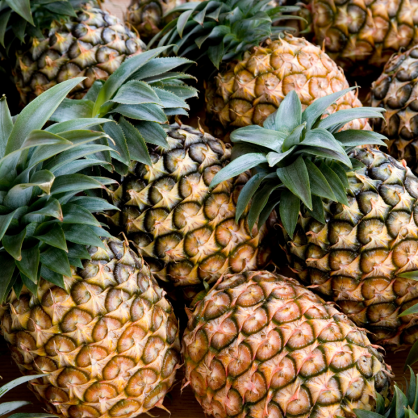 Fresh Thai Pineapple – Premium Export Grade